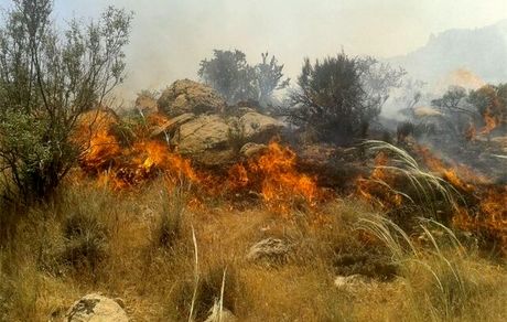 مهار آتش سوزی مراتع استان چهارمحال و بختیاری بعد از شش ساعت