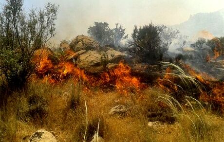 مهار آتش سوزی مراتع استان چهارمحال و بختیاری بعد از شش ساعت