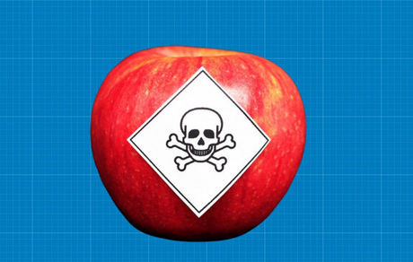 خطرناک‌ترین غذاهای جهان کدامند؟