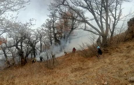 ادامه تلاش‌ها برای خاموش کردن آتش‌سوزی بزرگ جنگل‌های چالوس