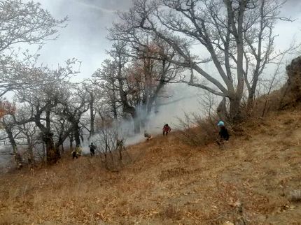 ادامه تلاش‌ها برای خاموش کردن آتش‌سوزی بزرگ جنگل‌های چالوس