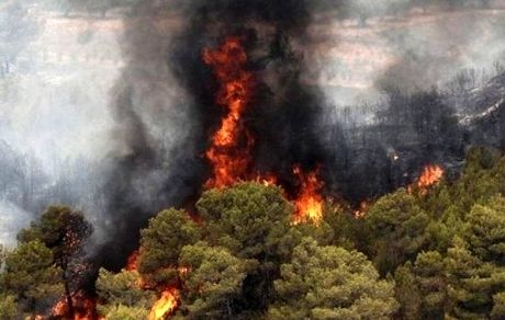 کاهش آتش‌سوزی در منابع طبیعی در مقایسه با مدت مشابه سال قبل