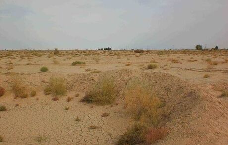 ۳۰میلیون هکتار از پهنه کشور در معرض فرسایش بادی / ۴ پیشنهاد برای مقابله با بیابان‌زایی