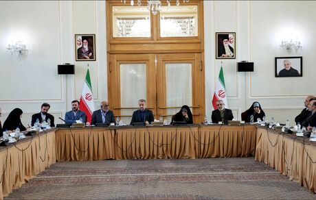 مفهوم حقوق بشر در سطح بین‌المللی، ابزاری برای فشار سیاسی علیه کشورهای مستقل است