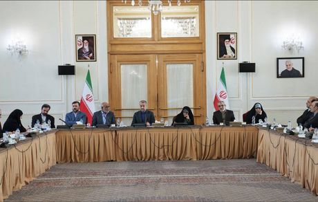 مفهوم حقوق بشر در سطح بین‌المللی، ابزاری برای فشار سیاسی علیه کشورهای مستقل است