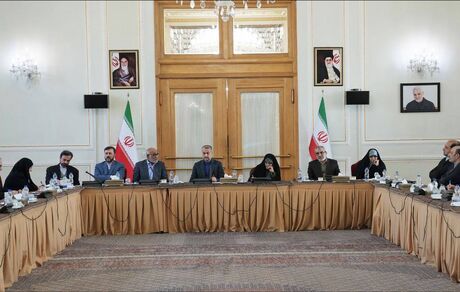 مفهوم حقوق بشر در سطح بین‌المللی، ابزاری برای فشار سیاسی علیه کشورهای مستقل است
