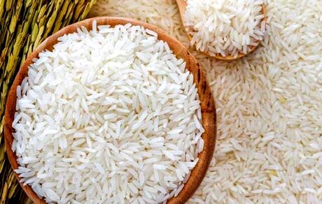 ۲۷ درصد ارز نیمایی کالای اساسی به برنج رسید