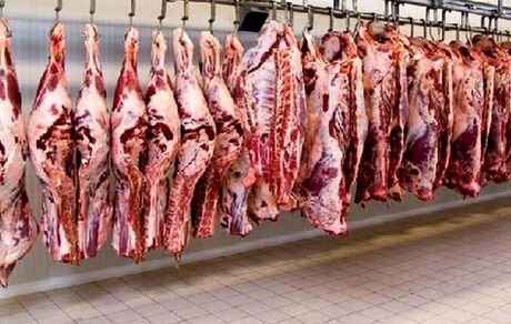 حذف ارز نیمایی از واردات گوشت قرمز