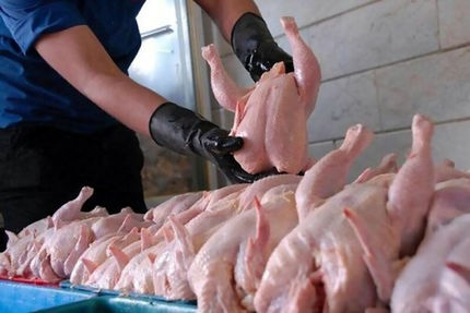 کاهش قیمت مرغ در تهران به ۴۸ هزار تومان