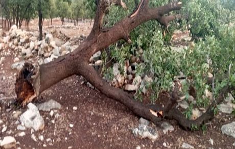 خسارت شدید طوفان در کرج