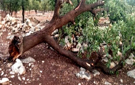 خسارت شدید طوفان در کرج