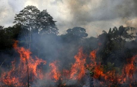 تشدید آتش سوزی های جنگلی آمازون در برزیل