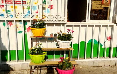پسماند خشک بدید؛ گلدان بگیرید