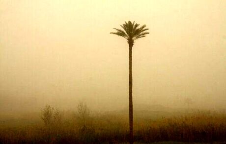 خوزستان غرق در گردوخاک