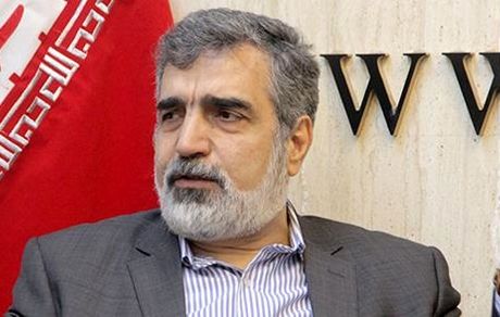 سخنگوی سازمان انرژی اتمی: عوامل خرابکاری در نطنز شناسایی شدند