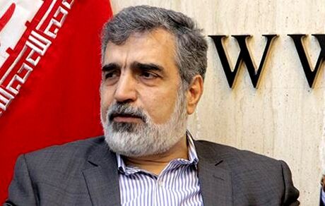 سخنگوی سازمان انرژی اتمی: عوامل خرابکاری در نطنز شناسایی شدند