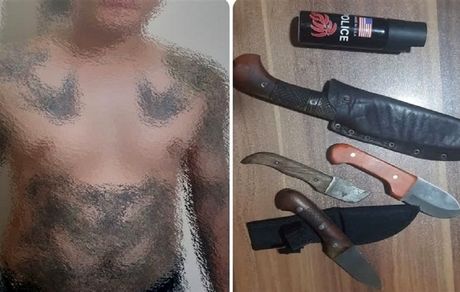 دستگیری اراذل و اوباش پارک ارم تهران