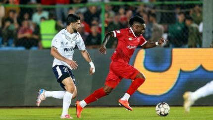 پرسپولیس همچنان نمی‌برد / امتیاز شیرین ملوانی‌ها در تهران