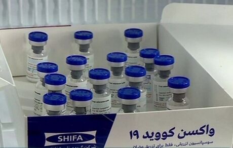 آغاز فاز ۲ و ۳ مطالعات بالینی واکسن ایرانی کرونا