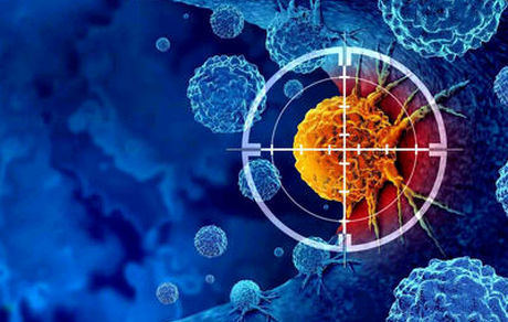 نوعی سلول ایمنی احتمالا مرتبط با راز طول عمر انسان شناسایی شد