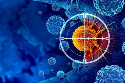 نوعی سلول ایمنی احتمالا مرتبط با راز طول عمر انسان شناسایی شد