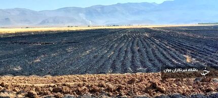 از بین رفتن ۱۸ هکتار از مزارع گندم و جو روستاهای اقلید