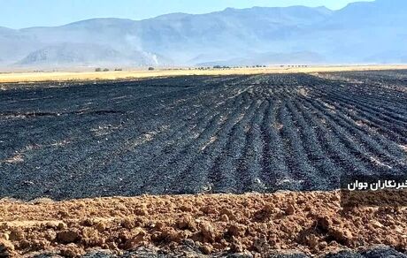از بین رفتن ۱۸ هکتار از مزارع گندم و جو روستاهای اقلید