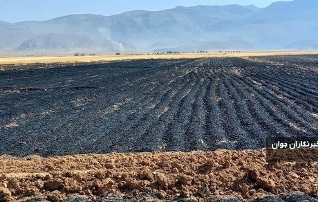 از بین رفتن ۱۸ هکتار از مزارع گندم و جو روستاهای اقلید