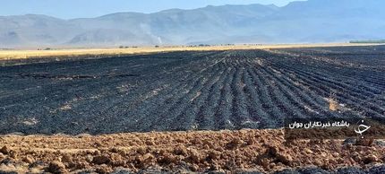از بین رفتن ۱۸ هکتار از مزارع گندم و جو روستاهای اقلید