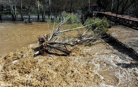 امداد رسانی به ۱۰۸ نفر در سیل و آب‌گرفتگی