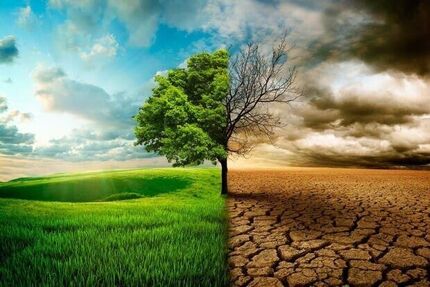 نیمی از کشور در خشکسالی نیمی دیگر در ترسالی