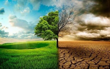 نیمی از کشور در خشکسالی نیمی دیگر در ترسالی