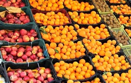 تدارک میوه شب عید از هم‌اکنون / نقشه راه ۵ ساله برای رسیدن به چشم‌انداز