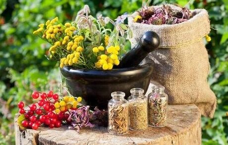 ۱۰ اقدام ملی برای ارتقای فرهنگ تولید و مصرف گیاهان دارویی