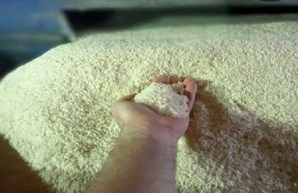 آغاز خرید برنج از برنجکاران شمال