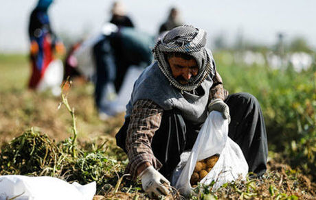 شرایط بازنشستگی بیمه شدگان روستایی در سال ۱۴۰۰