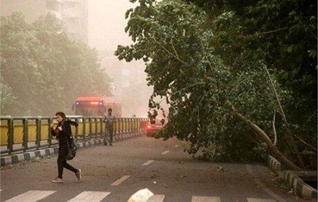 هشدار وزش باد شدید در تهران