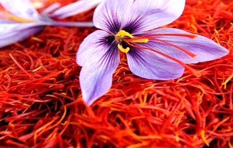 صادرات ۲۵ تن زعفران در دو ماه نخست سال
