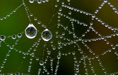 ساخت رباتی بدون نیاز به برق