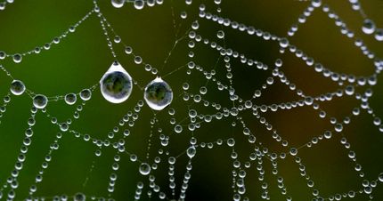 ساخت رباتی بدون نیاز به برق