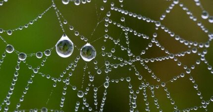 ساخت رباتی بدون نیاز به برق