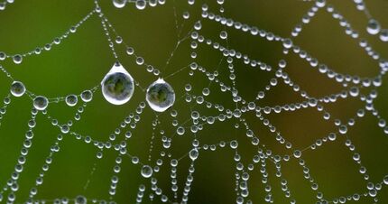 ساخت رباتی بدون نیاز به برق