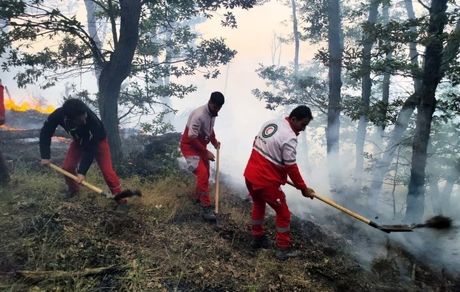 توقف گسترش دامنه آتش‌سوزی در منطقه الیت چالوس پس از هشت روز