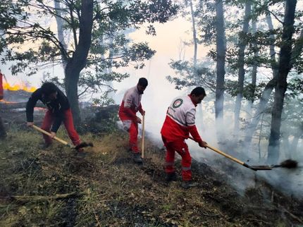توقف گسترش دامنه آتش‌سوزی در منطقه الیت چالوس پس از هشت روز