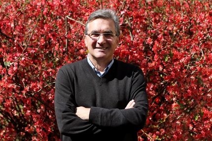 پرسپولیس به برانکو: مالیات قراردادت را می‌دهیم