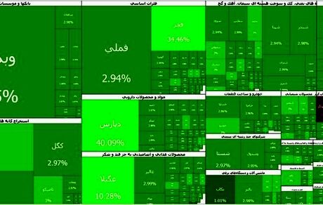 بورس کاملا سبز شد