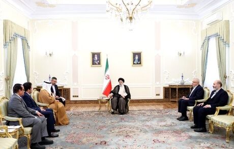 بنای ایران تداوم و تقویت همکاری سازنده با اوپک است