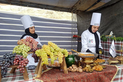 جشنواره ملی انگور با حضور چهار استان برگزار شد
