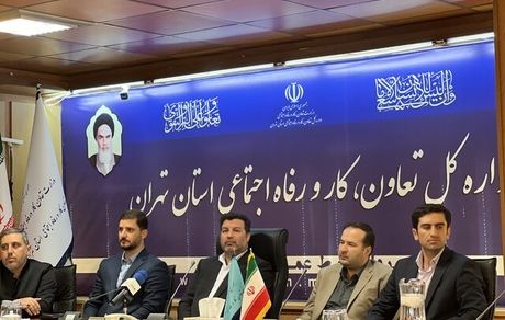 وجود ۲۱ هزار تعاونی ثبت شده در استان تهران