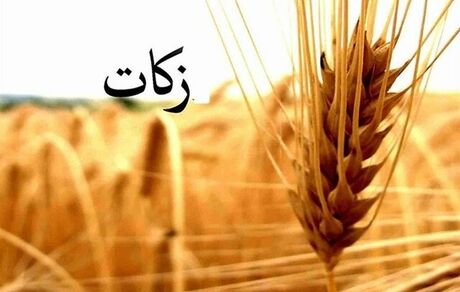 جمع‌آوری زکات، ۳۴ درصد رشد کرد